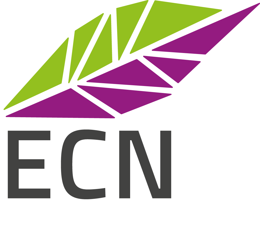 Детальніше про статтю ECN