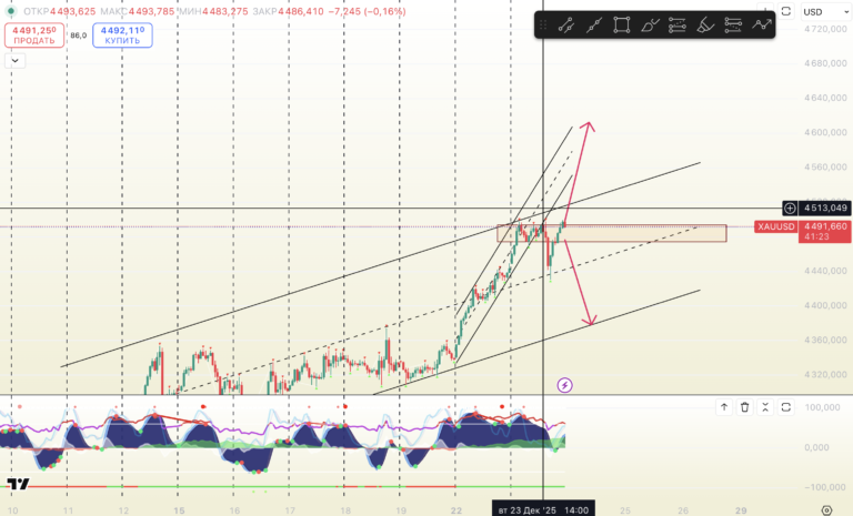 Снимок экрана 2025-12-23 в 23.18